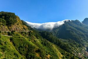 Lombo tun moleiro - - Madeira, Portugal foto