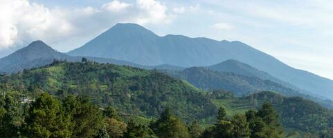 Aussicht von Tee Plantage, nach etwas bearbeitet. foto