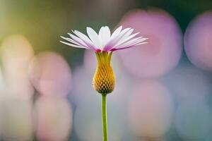 ein Single Weiß Blume ist Stehen im Vorderseite von ein verschwommen Hintergrund. KI-generiert foto