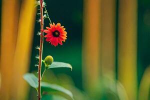 ein Single rot Blume ist Stehen auf ein Stengel. KI-generiert foto