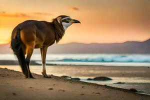 ein Vogel Stehen auf das Strand beim Sonnenuntergang. KI-generiert foto