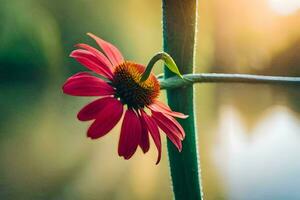 ein rot Blume ist Stehen auf ein Stengel in der Nähe von ein See. KI-generiert foto