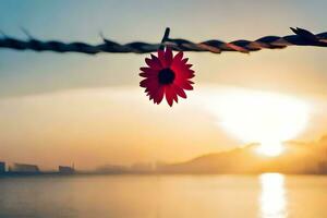 ein rot Blume ist hängend von ein mit Widerhaken Draht Zaun. KI-generiert foto