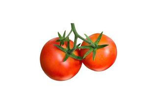zwei rote reife Tomaten isoliert auf weißem Hintergrund foto