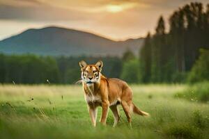 ein rot Wolf ist Stehen im das Gras. KI-generiert foto