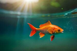 ein Fisch Schwimmen im das Wasser mit Sonnenlicht leuchtenden durch. KI-generiert foto