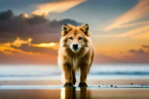 ein Hund Stehen auf das Strand beim Sonnenuntergang. KI-generiert foto