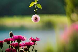 Rosa Blumen hängend von ein Ranke in der Nähe von ein See. KI-generiert foto