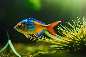 ein Fisch mit hell Farben Schwimmen im das Wasser. KI-generiert foto