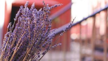 getrocknete Lavendelsträuße auf unscharfem Hintergrund foto