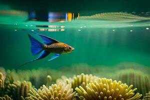 ein Fisch Schwimmen im das Ozean mit Anemonen. KI-generiert foto