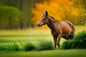 ein Pferd ist Stehen im das Gras im Vorderseite von ein Wald. KI-generiert foto