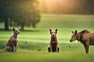 drei Pferde sind Sitzung im das Gras. KI-generiert foto