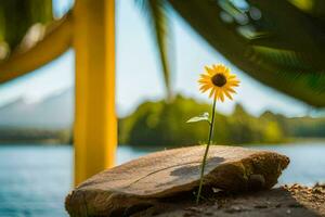 ein Single Sonnenblume ist wachsend aus von ein Felsen in der Nähe von ein See. KI-generiert foto