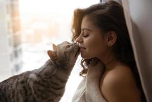 große Katze küsst ein hübsches Mädchen