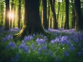 Sonnenlicht scheint durch Buche Bäume im das Glockenblume Wald von Hallerboss im Belgien ai generieren. foto