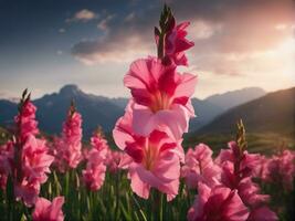 magisch Rosa Sommer- wild Blume Lupine Nahansicht auf Sonnenuntergang. Weide Tee im das Sonnenuntergang Licht KI-generiert foto