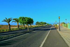 breit Asphalt Straße auf das Spanisch Kanarienvogel Insel fuerteventura mit Palme Bäume foto