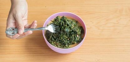 gulai daun singkong im Minang ist indonesisch traditionell Küche gemacht von Maniok Blätter gekocht mit Kokosnuss Milch, Gewürze und gebraten Anschovis. selektiv Fokus und verschwommen Auswahl. foto