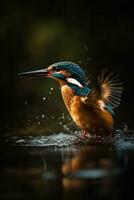 das Schönheit von Natur wie ein Eisvogel fängt ein Fisch im filmisch Beleuchtung, generativ ai foto