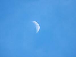 Hälfte Mond während Tageslicht. Mond ist im das Blau Himmel. foto