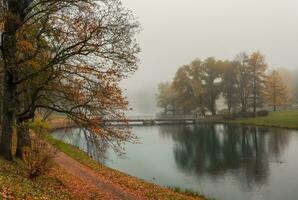 nebelig Herbst Stadt Park. Brücke Über ein Teich Duing ein nebelig Morgen. Gatschina, Palast Park, Russland. foto