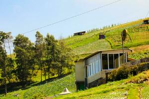 Reis Felder im das Berge mit ein Terasieren System foto