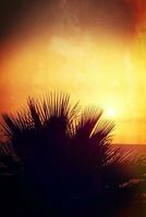 malerisch Ozean Landschaft mit das Rahmen Sonne im ein tropisch Land während Sommer- Ferien mit Palme foto