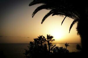 malerisch Ozean Landschaft mit das Rahmen Sonne im ein tropisch Land während Sommer- Ferien mit Palme foto