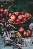 Korbweide Korb mit rot Äpfel und Walnüsse auf alt hölzern Tabelle foto