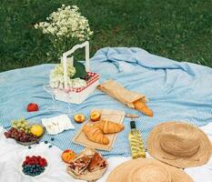 Picknick auf das Gras. Picknick im das Park mit ein Korb von Lebensmittel. foto