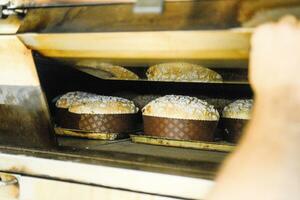 Gebäck Bäcker Handwerker Backen klein Gruppe von Italienisch Panettone Süss Brot typisch zum Weihnachten Zeit foto