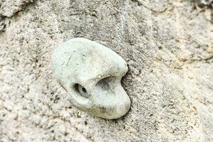 schließen oben Schuss von das Ausrüstung verwenden zum Mauer Klettern foto