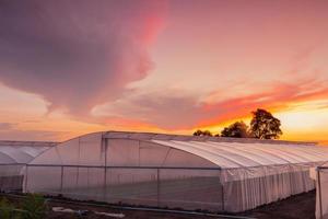 grünes Haus im Bauernhof bei schönem Sonnenuntergang foto