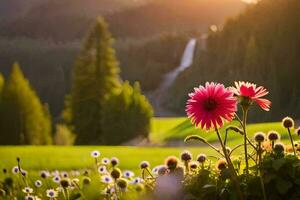 Blumen im das Feld beim Sonnenuntergang. KI-generiert foto