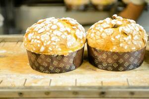 Gebäck Bäcker Handwerker Backen klein Gruppe von Italienisch Panettone Süss Brot typisch zum Weihnachten Zeit foto