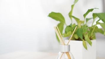 Duftstäbchen in Glasflasche mit Blume foto