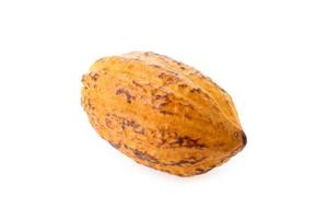 frische Kakaofrüchte isoliert auf weißem Hintergrund foto