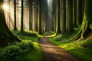 ein Pfad durch ein Wald mit Bäume und Sonnenstrahlen. KI-generiert foto