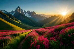 das Sonne steigt an Über ein Feld von Rosa Blumen. KI-generiert foto