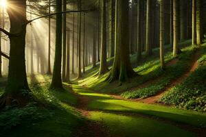 ein Pfad durch ein Wald mit Sonne leuchtenden durch das Bäume. KI-generiert foto