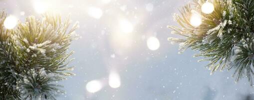 Weihnachten schneebedeckt Tanne Baum Geäst schließen hoch. Winter Weihnachten und Winter Konzept mit Kopieren Raum. foto