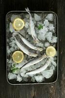 frisch Lodde Fisch oder Shisamo Baby Fisch foto