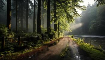 still Szene nebelig Berg Bereich, mysteriös Herbst Wald, verschwinden Punkt generiert durch ai foto