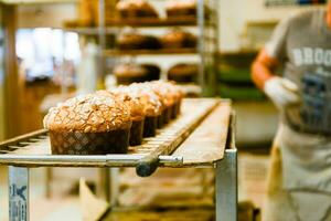 Gebäck Bäcker Handwerker Backen klein Gruppe von Italienisch Panettone Süss Brot typisch zum Weihnachten Zeit foto