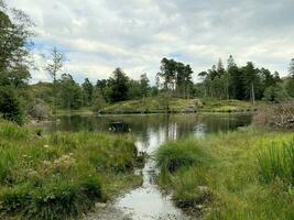 ein Aussicht von das See Kreis beim Tarn wie foto