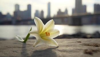 frisch Gelb Blume Blüten im Natur, symbolisieren Schönheit und Wachstum generiert durch ai foto