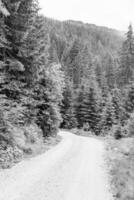 das österreichisch Alpen in der Nähe von Gosau foto