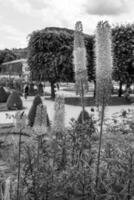 das österreichisch Alpen in der Nähe von Gosau foto