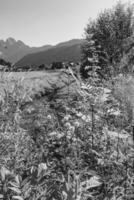 Wandern in der Nähe von Gosau im Österreich foto